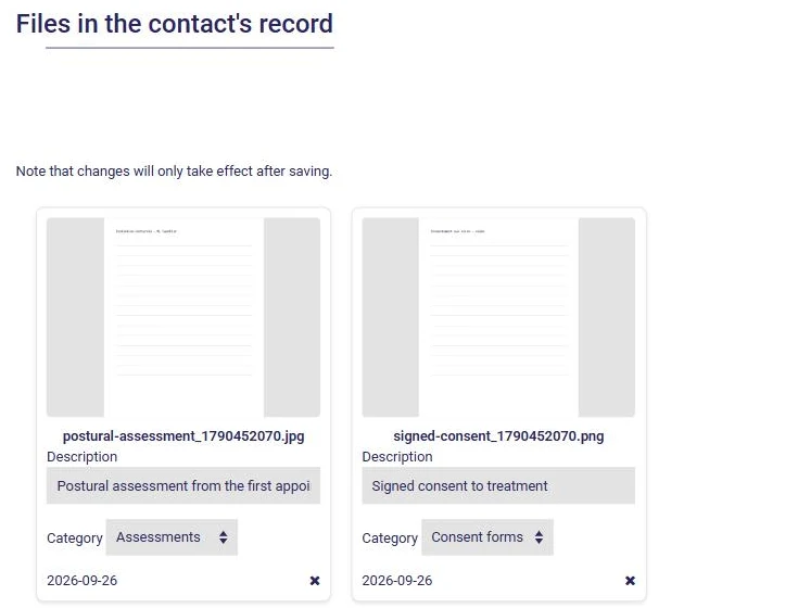 Files attached to a client record in AssisTime: preview, description and category